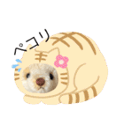 くまちゃんかわいい日常使えるやさしい（個別スタンプ：20）