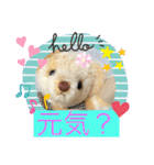 くまちゃんかわいい日常使えるやさしい（個別スタンプ：21）