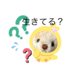 くまちゃんかわいい日常使えるやさしい（個別スタンプ：24）