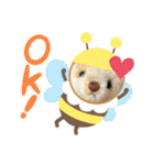 くまちゃんかわいい日常使えるやさしい（個別スタンプ：28）