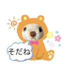 くまちゃんかわいい日常使えるやさしい（個別スタンプ：30）