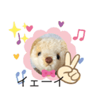 くまちゃんかわいい日常使えるやさしい（個別スタンプ：32）
