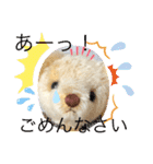 くまちゃんかわいい日常使えるやさしい（個別スタンプ：35）