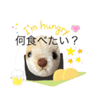 くまちゃんかわいい日常使えるやさしい（個別スタンプ：36）