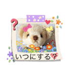 くまちゃんかわいい日常使えるやさしい（個別スタンプ：37）
