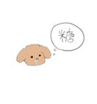 おしゃべりラッキーくん（個別スタンプ：12）