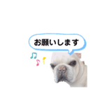 蘭丸くん②あいさつ編（個別スタンプ：5）