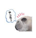 蘭丸くん②あいさつ編（個別スタンプ：16）