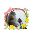 虎太郎＆蘭丸（個別スタンプ：8）