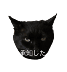 さすけ＆はやて（個別スタンプ：14）