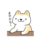 秋田犬と猫のバーごっこ（個別スタンプ：29）