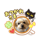 しずちゃんといっしょ♩（個別スタンプ：1）