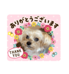 しずちゃんといっしょ♩（個別スタンプ：3）