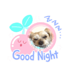 しずちゃんといっしょ♩（個別スタンプ：6）