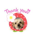 しずちゃんといっしょ♩（個別スタンプ：7）