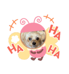 しずちゃんといっしょ♩（個別スタンプ：8）