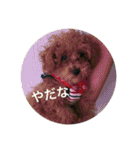 ぽむきゅん（個別スタンプ：18）