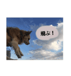 いんぬ2、（個別スタンプ：8）