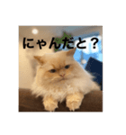 ゆきまる❄️❄️（個別スタンプ：2）