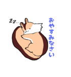 ぽにょリス（個別スタンプ：5）