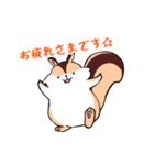ぽにょリス（個別スタンプ：12）