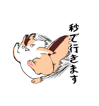 ぽにょリス（個別スタンプ：16）