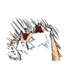 ぽにょリス（個別スタンプ：24）