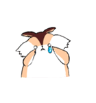 ぽにょリス（個別スタンプ：25）