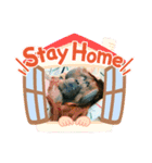 ばなばーばの動物スタンプ（個別スタンプ：5）