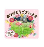 ばなばーばの動物スタンプ（個別スタンプ：8）