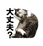 こったスタンプ（個別スタンプ：7）