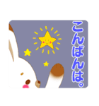 よく使う敬語のウサさんスタンプ（個別スタンプ：17）