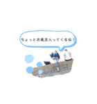 Les CinQ(レ・サンク)スタンプ（個別スタンプ：26）