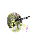Les CinQ(レ・サンク)スタンプ（個別スタンプ：37）