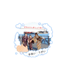 Les CinQ(レ・サンク)スタンプ（個別スタンプ：39）