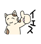 ネコフスキー先生の手作り猫スタンプ（個別スタンプ：1）