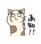 ネコフスキー先生の手作り猫スタンプ（個別スタンプ：9）
