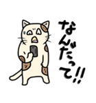 ネコフスキー先生の手作り猫スタンプ（個別スタンプ：10）