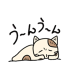 ネコフスキー先生の手作り猫スタンプ（個別スタンプ：18）