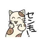 ネコフスキー先生の手作り猫スタンプ（個別スタンプ：23）
