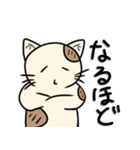 ネコフスキー先生の手作り猫スタンプ（個別スタンプ：29）