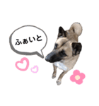 のん♀_001（個別スタンプ：7）