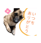 のん♀_001（個別スタンプ：8）