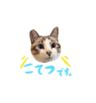 こてつのスタンプVol.2（個別スタンプ：1）