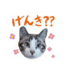 こてつのスタンプVol.2（個別スタンプ：16）