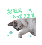 こてつのスタンプVol.2（個別スタンプ：27）