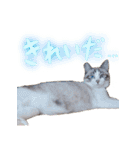 こてつのスタンプVol.2（個別スタンプ：28）