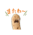 こてつのスタンプVol.2（個別スタンプ：31）