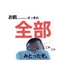 安部建設の愉快な仲間ち（個別スタンプ：38）