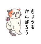 たぼたん（個別スタンプ：20）